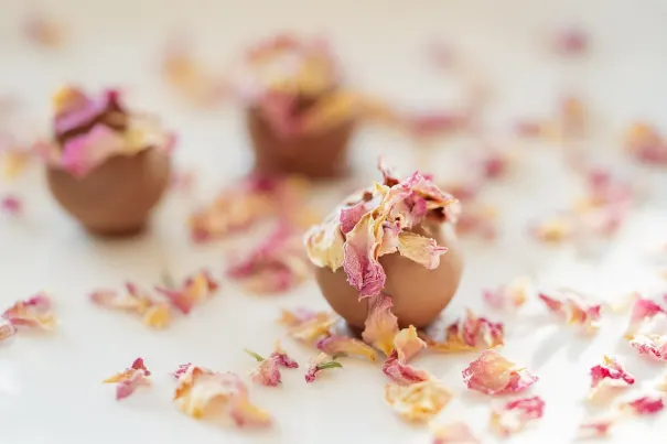 カジノ ベラ ベガス Android/iOS アプリ